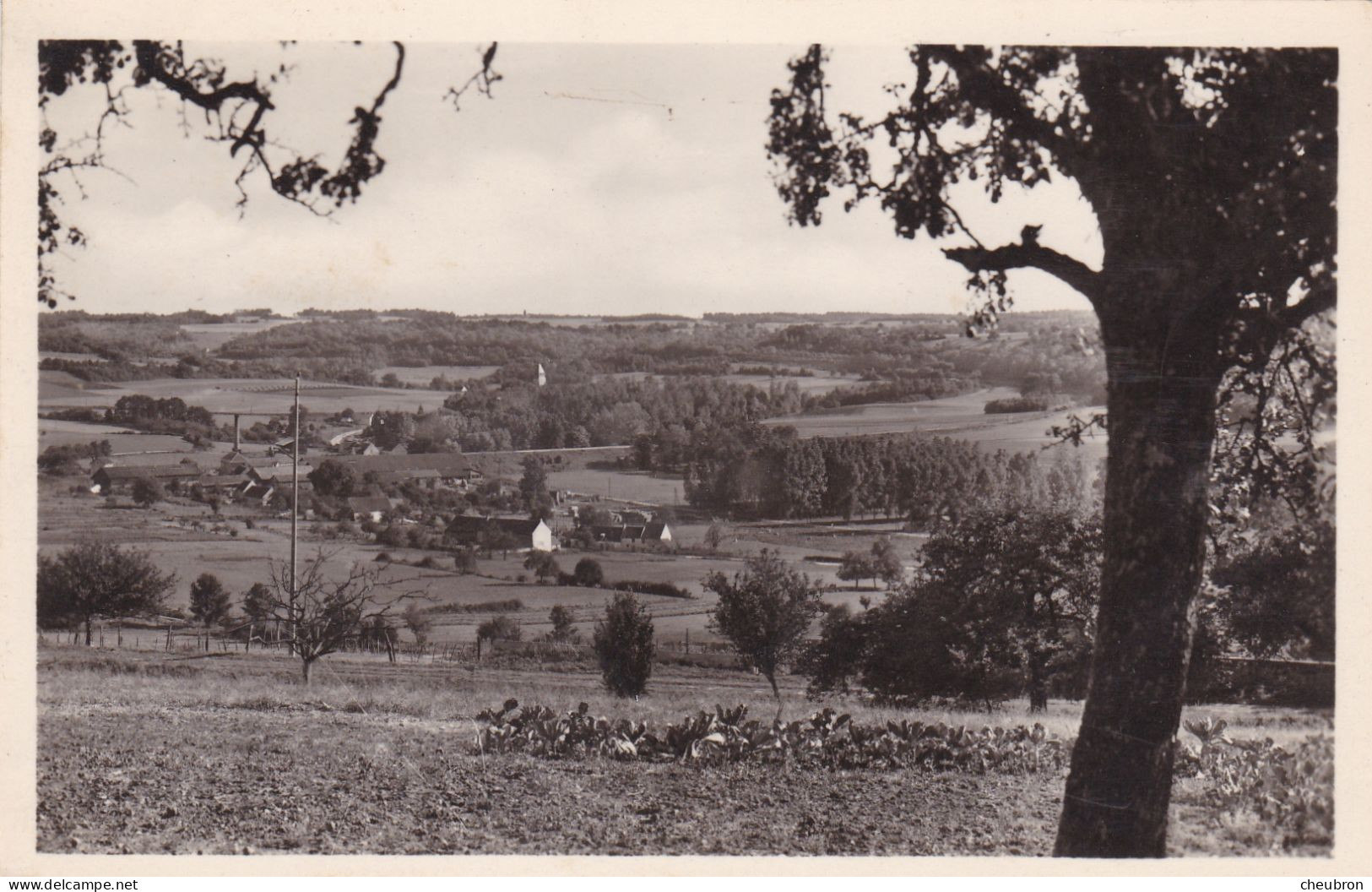 51. MONTMIRAIL. CPA  LA VALLEE DU PETIT MORIN. ANNEES 50 - Montmirail