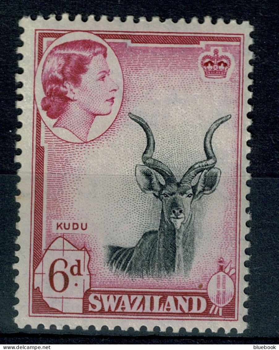 Ref 1640 - Swaziland 1956 - 6d Stamp - Kudo Antelope - MNH Unmounted Mint SG 58 - Swasiland (...-1967)