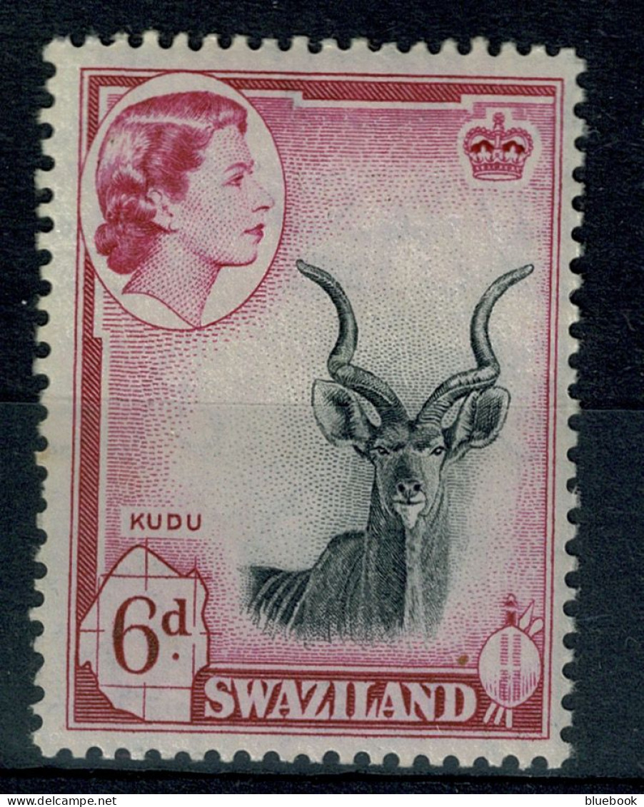 Ref 1640 - Swaziland 1956 - 6d Stamp - Kudo Antelope - MNH Unmounted Mint SG 58 - Swaziland (...-1967)