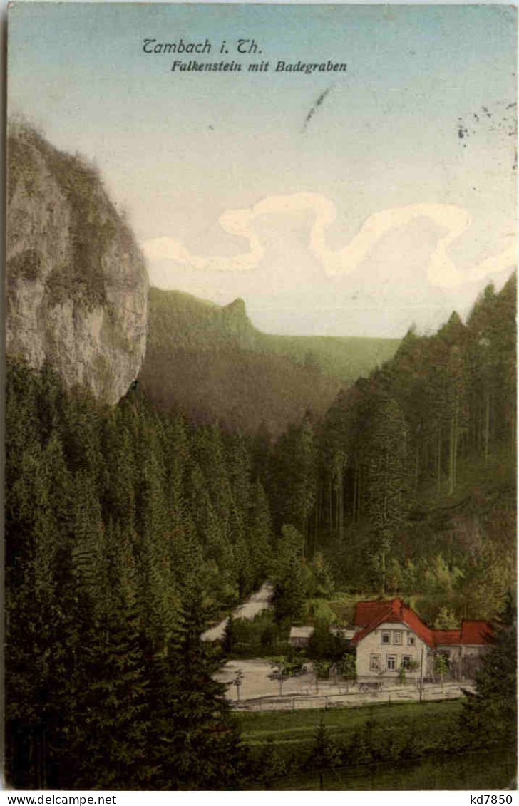 Tambach, Falkenstein Mit Badegraben - Tambach-Dietharz