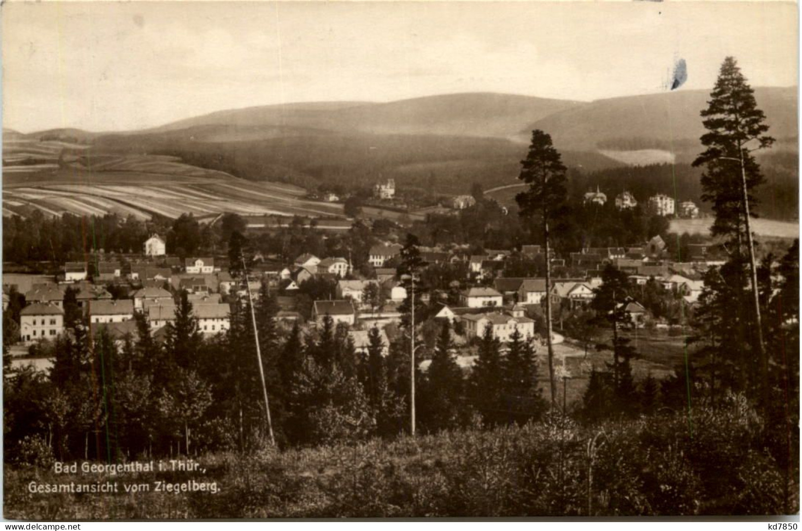 Bad Georgenthal, Gesamtansicht Vom Ziegelberg - Georgenthal