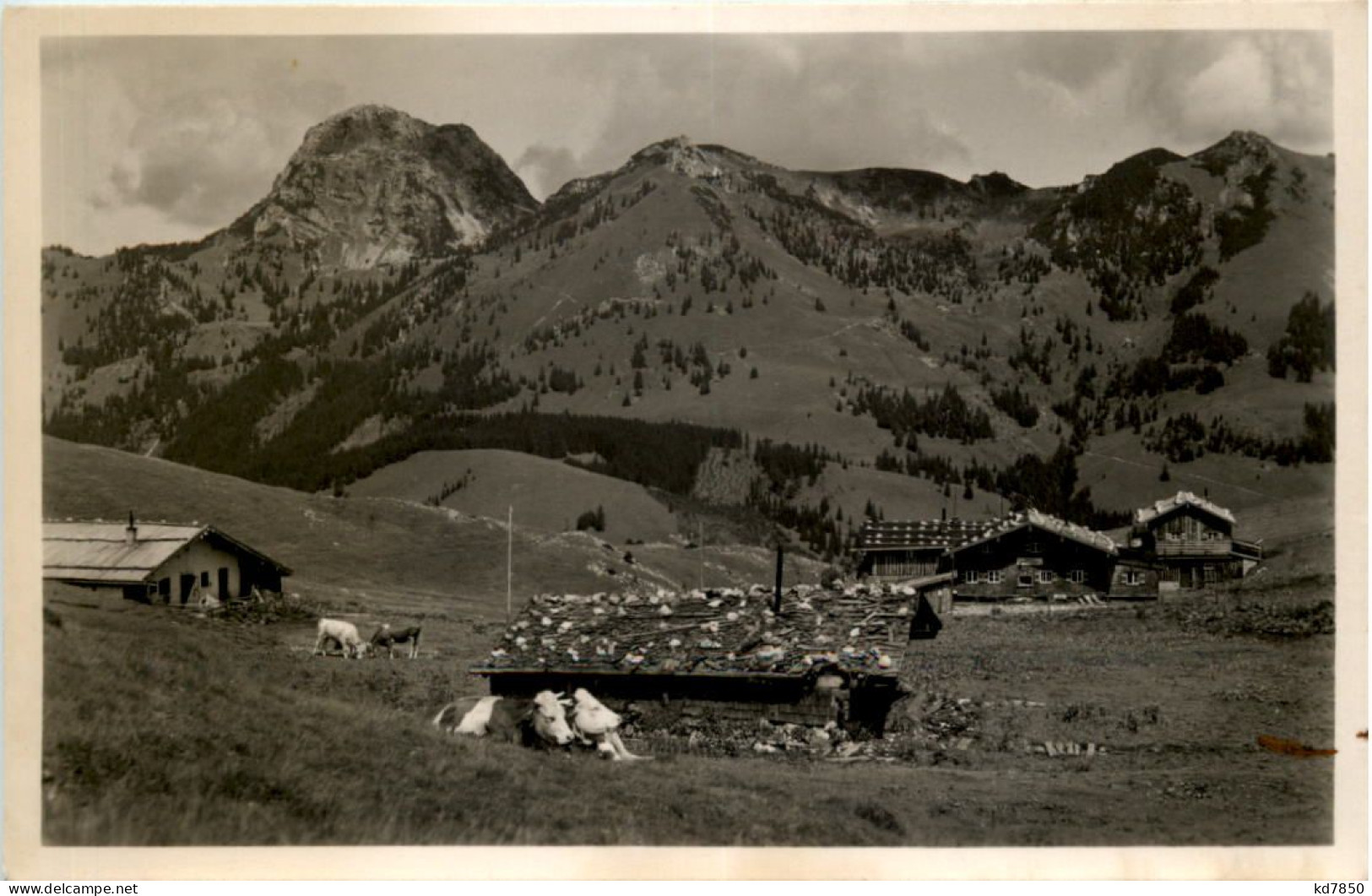 Oberes Sudelfeld B. Bayrischzell Mit Wendelstein - Miesbach