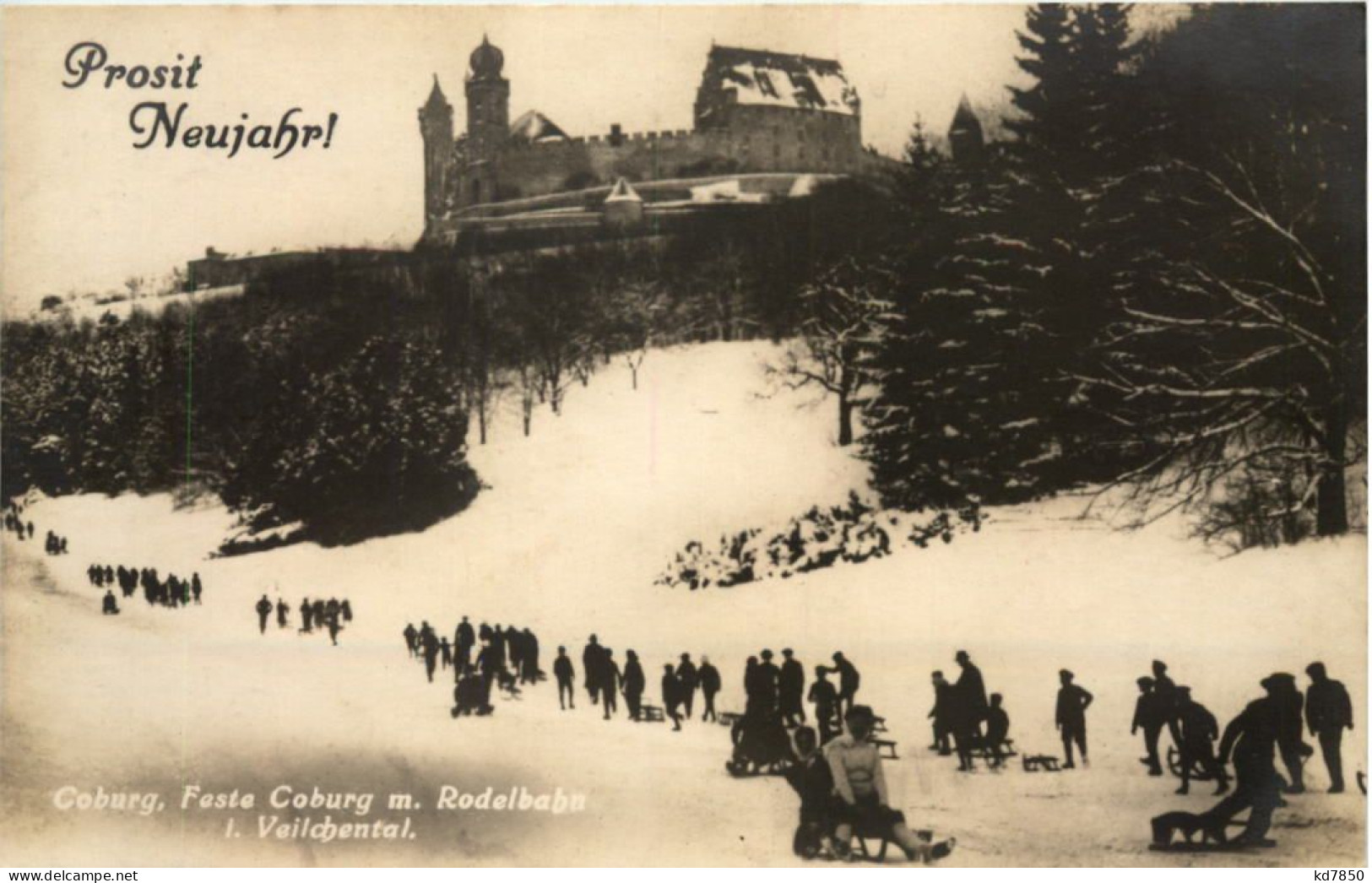 Feste Coburg Mit Rodelbahn - Coburg