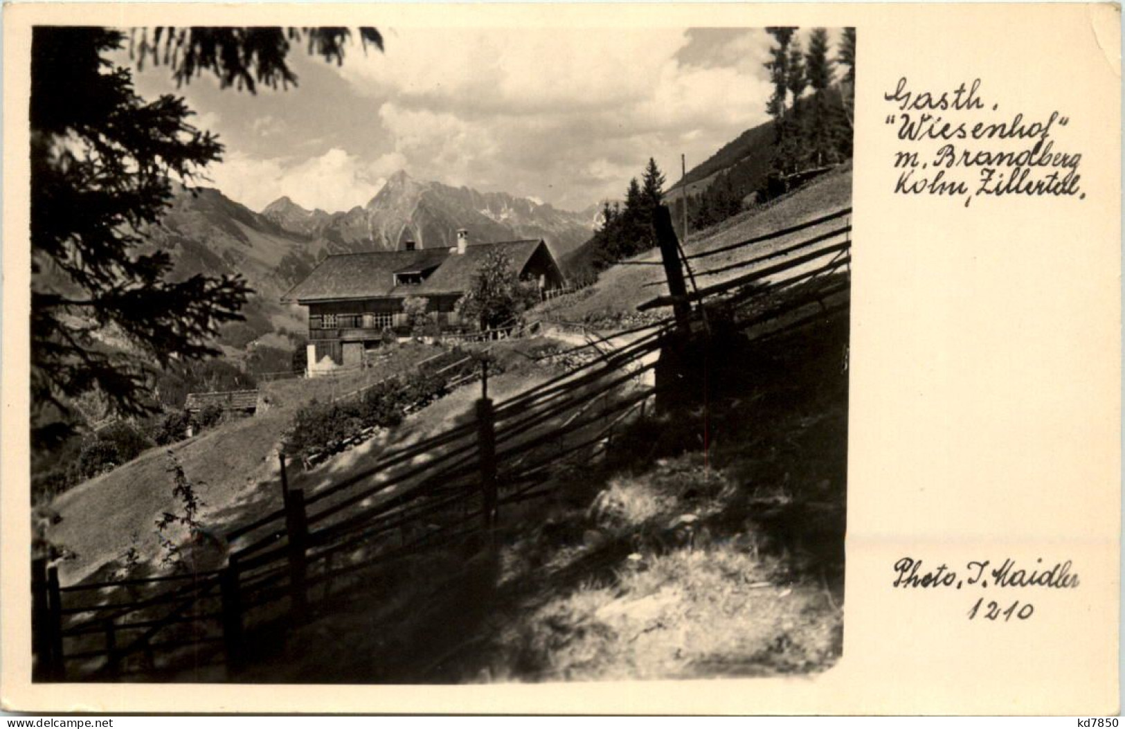 Kohn, Zillertal, Gasthof Wiesenhof Mit Brandberg - Zillertal