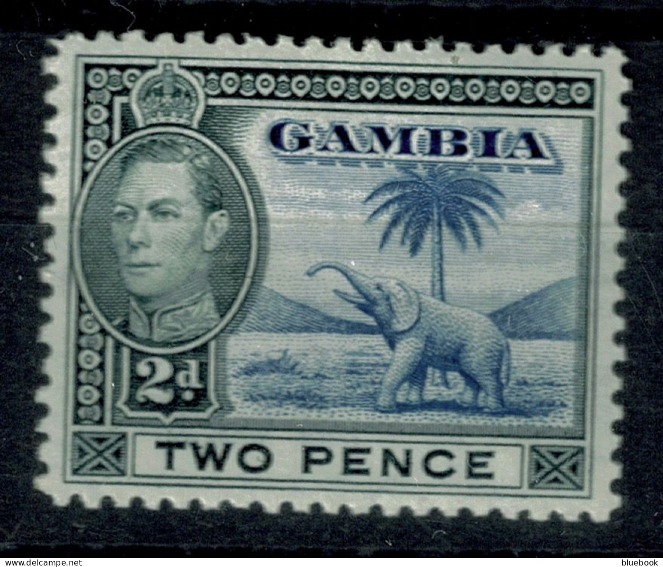 Ref 1640 - Gambia 1938 KGVI - 2d Elephant Stamp - Lightly Mounted Mint SG 153 - Gambie (...-1964)