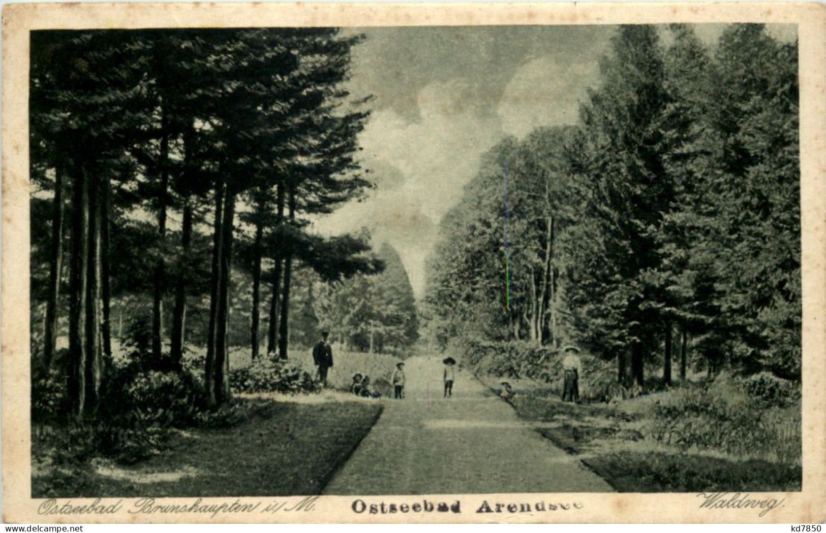 Ostseebad Brunshaupten - Waldweg - Kuehlungsborn