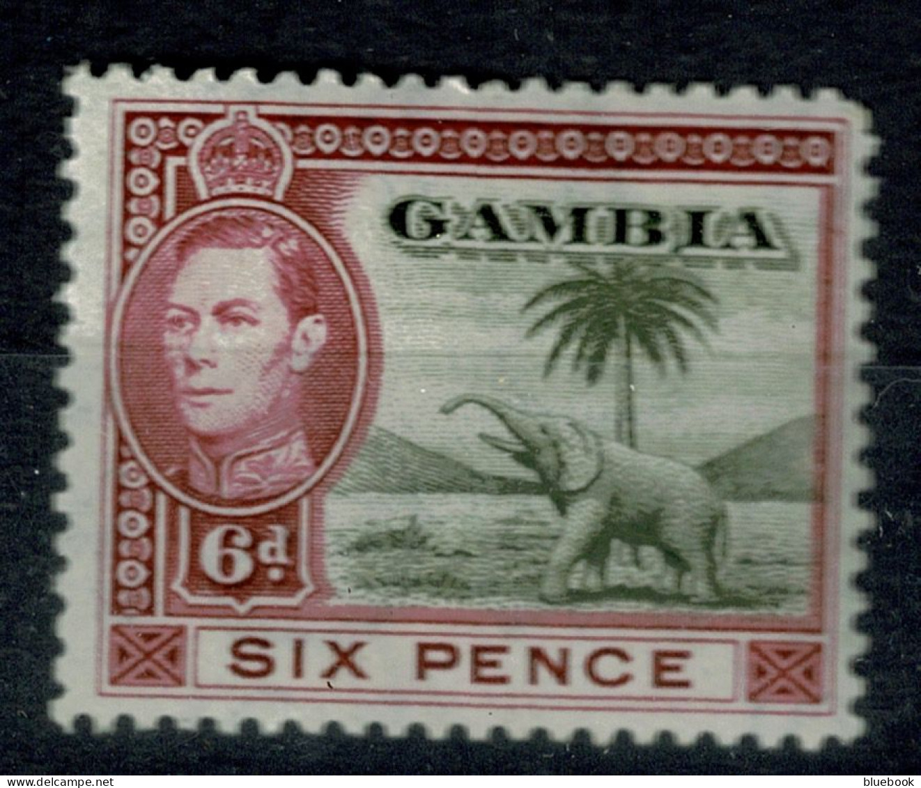 Ref 1640 - Gambia 1938 KGVI - 6d Elephant Stamp - Mounted Mint SG 155 - Gambie (...-1964)