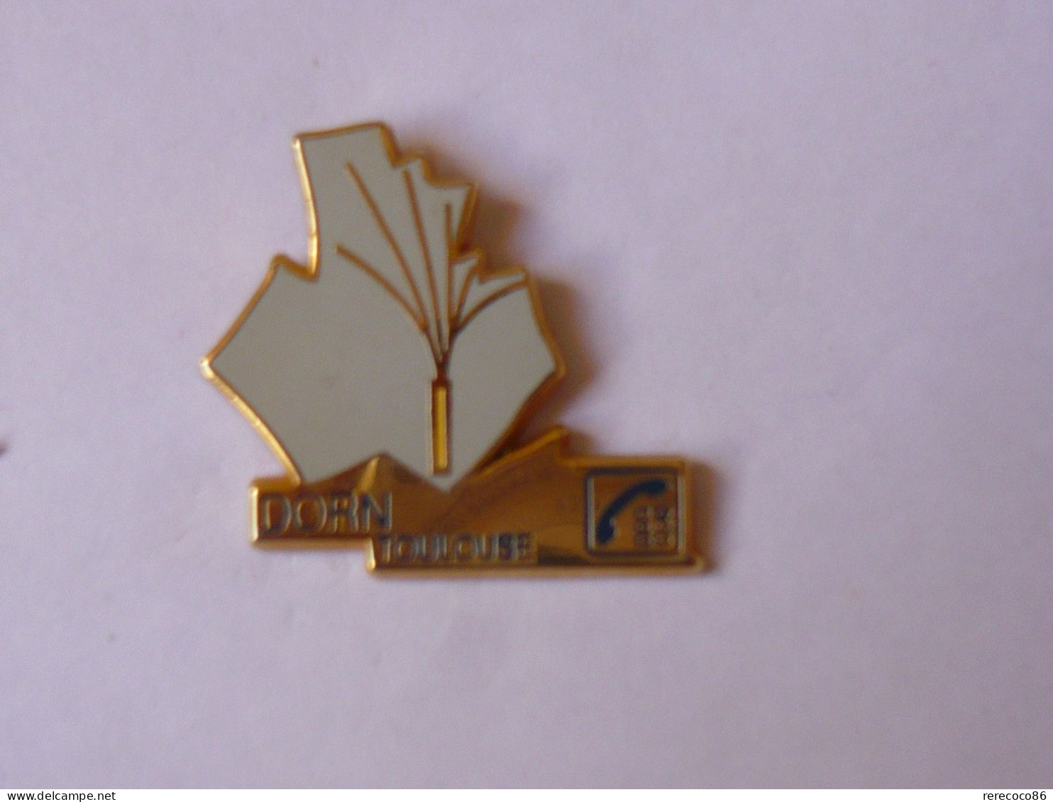 Pin S FRANCE TELECOM DORN TOULOUSE ATTERISSEUR MISSION LUNAIRE - Telecom De Francia