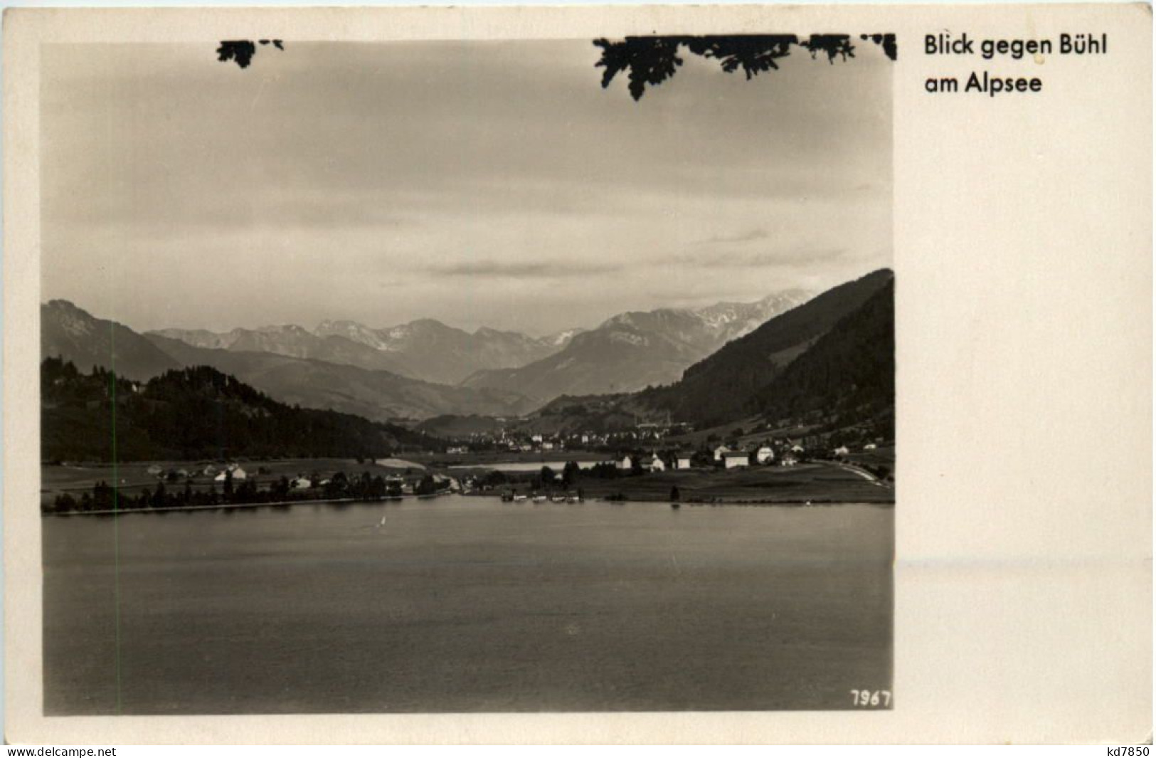 Blick Gegen Bühl Am Alpsee - Immenstadt