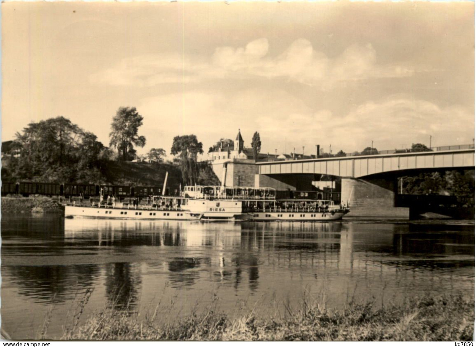 Riesa An Der Elbe, Neue Elbbrücke Mit Elbdampfer Riesa - Riesa