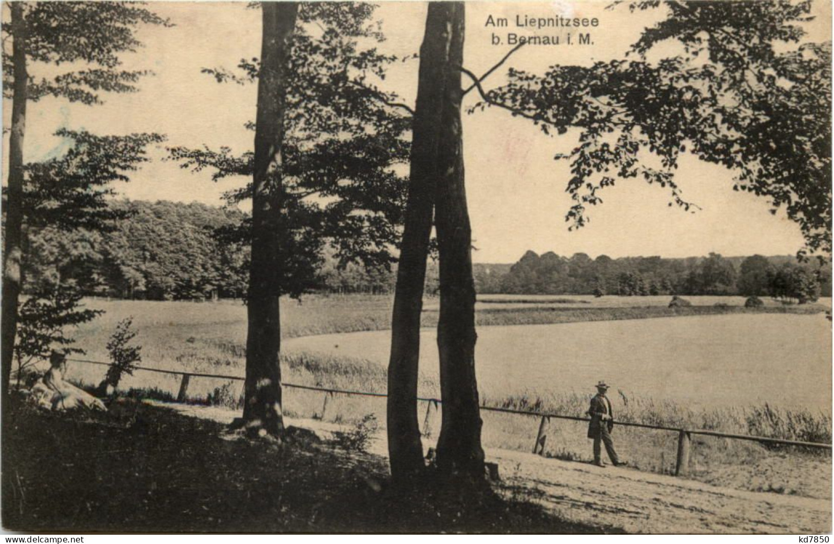 Am Liepnitzsee B. Bernau I.M. - Bernau