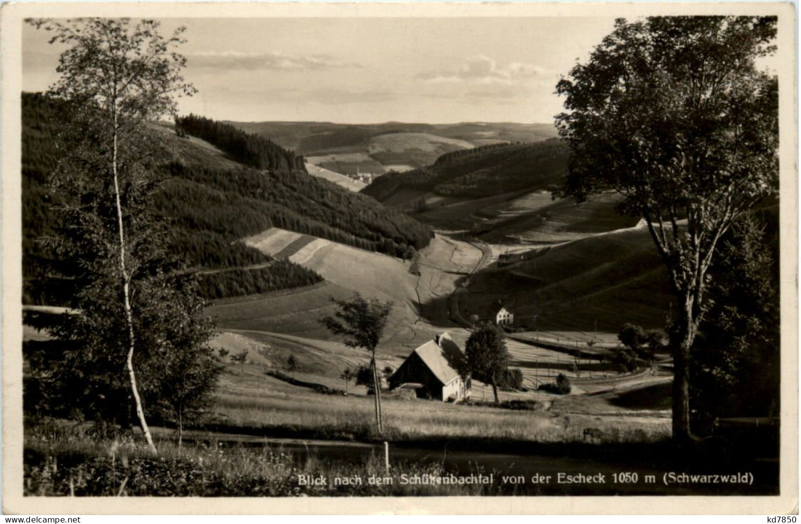 Blick Nach Dem Schützenbachtal Von Der Escheck Schwarzwald - Villingen - Schwenningen