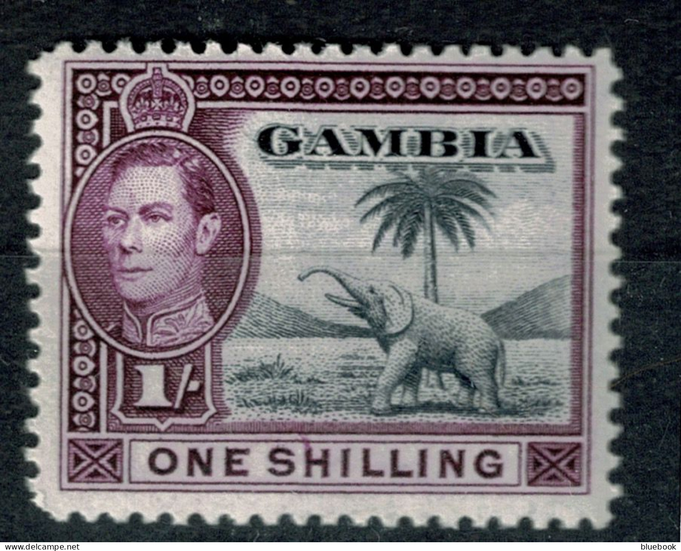 Ref 1640 - Gambia 1938 KGVI - 1/= Elephant Stamp - Lightly Mounted Mint SG 156 - Gambie (...-1964)