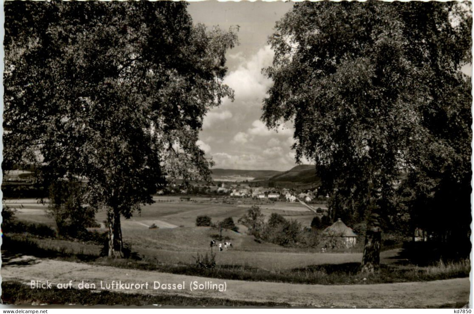 Kurort Dassel (Solling) - Northeim