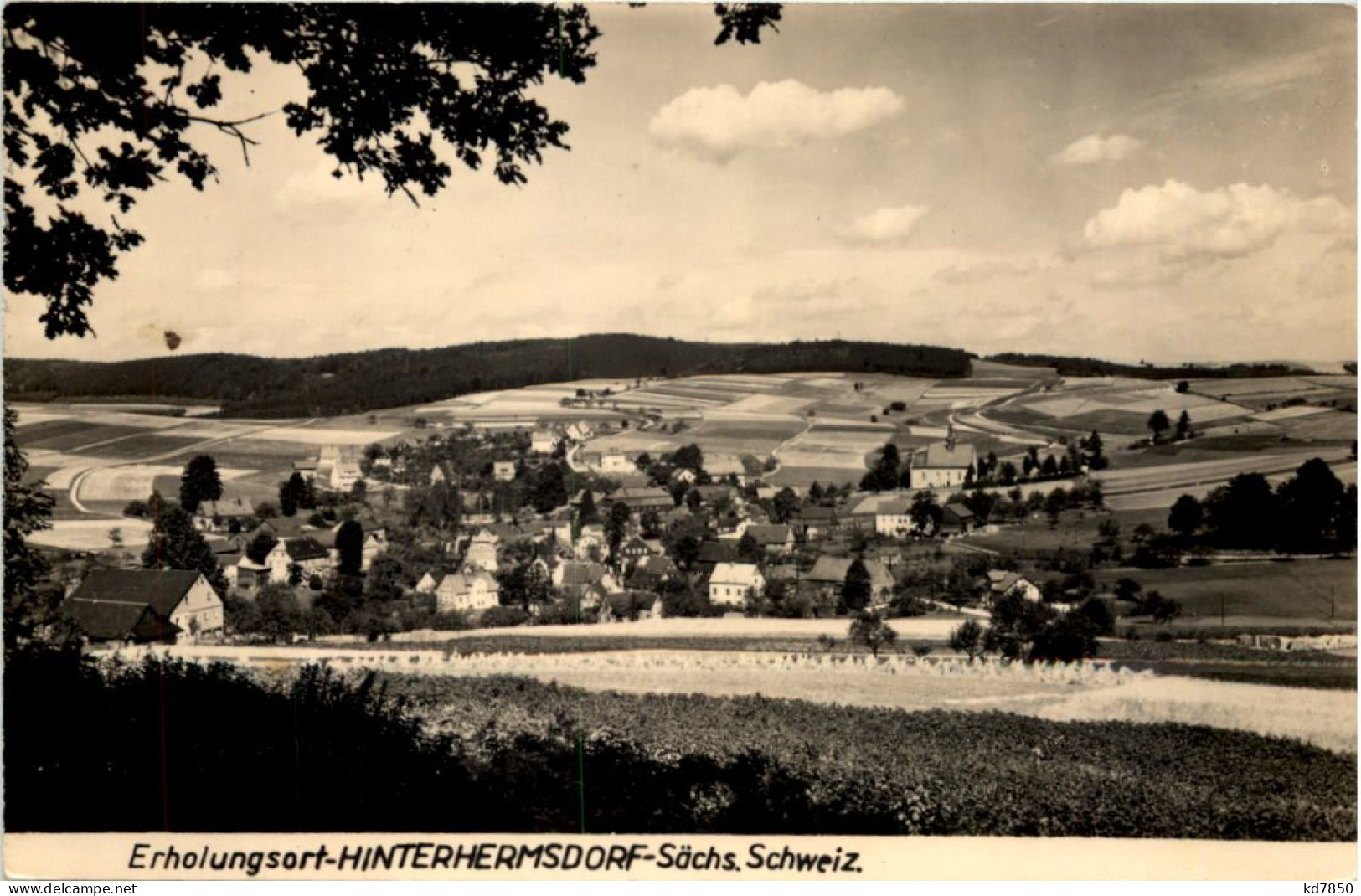 Erholungsort Hinterhermsdorf - Sebnitz