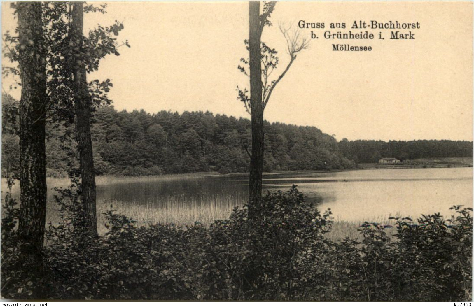 Gruss Aus Alt-Buchhorst B. Grünheide I.Mark, Möllensee - Grünheide