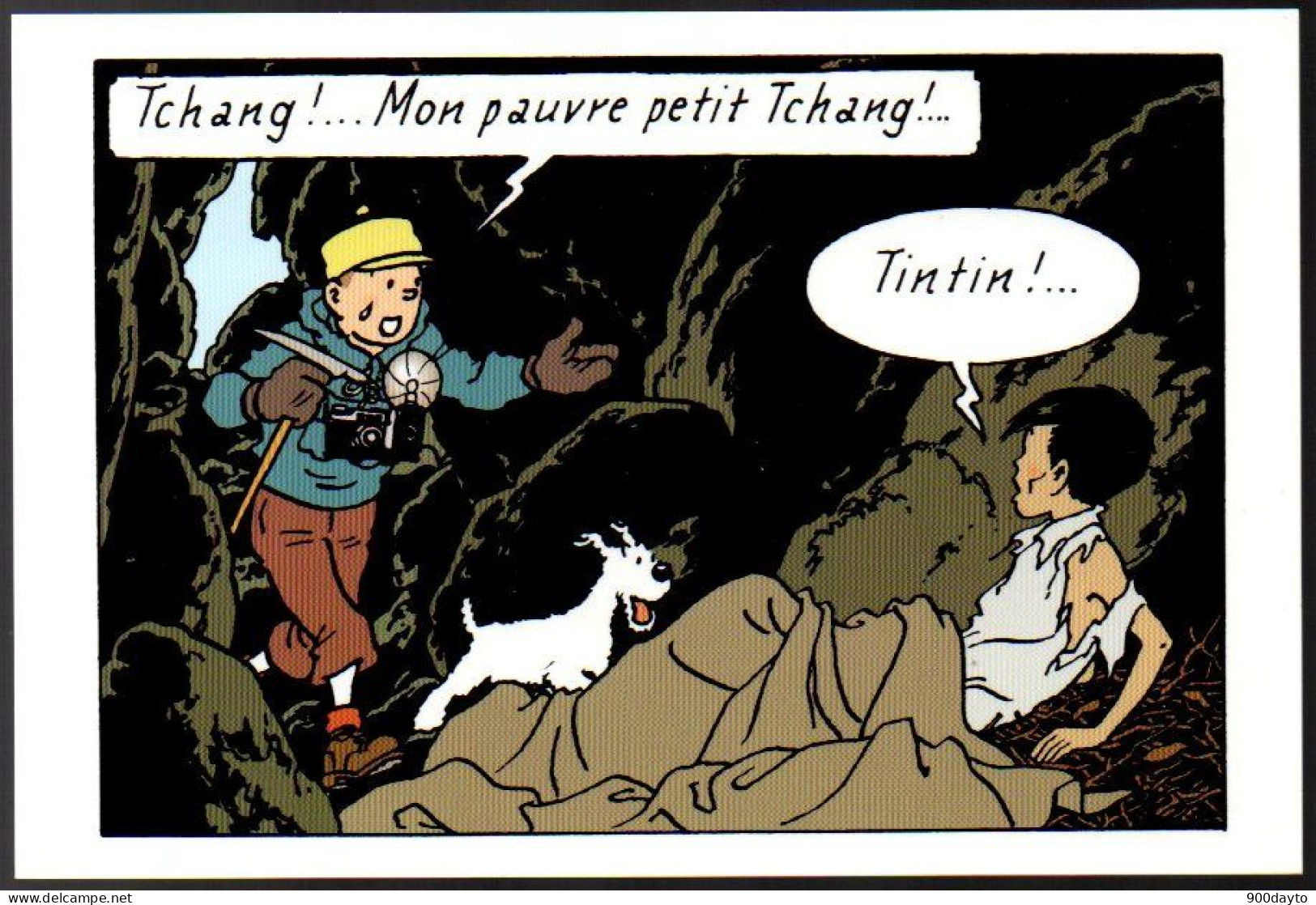 TINTIN. Exposition Tintin Au Tibet. - Bandes Dessinées