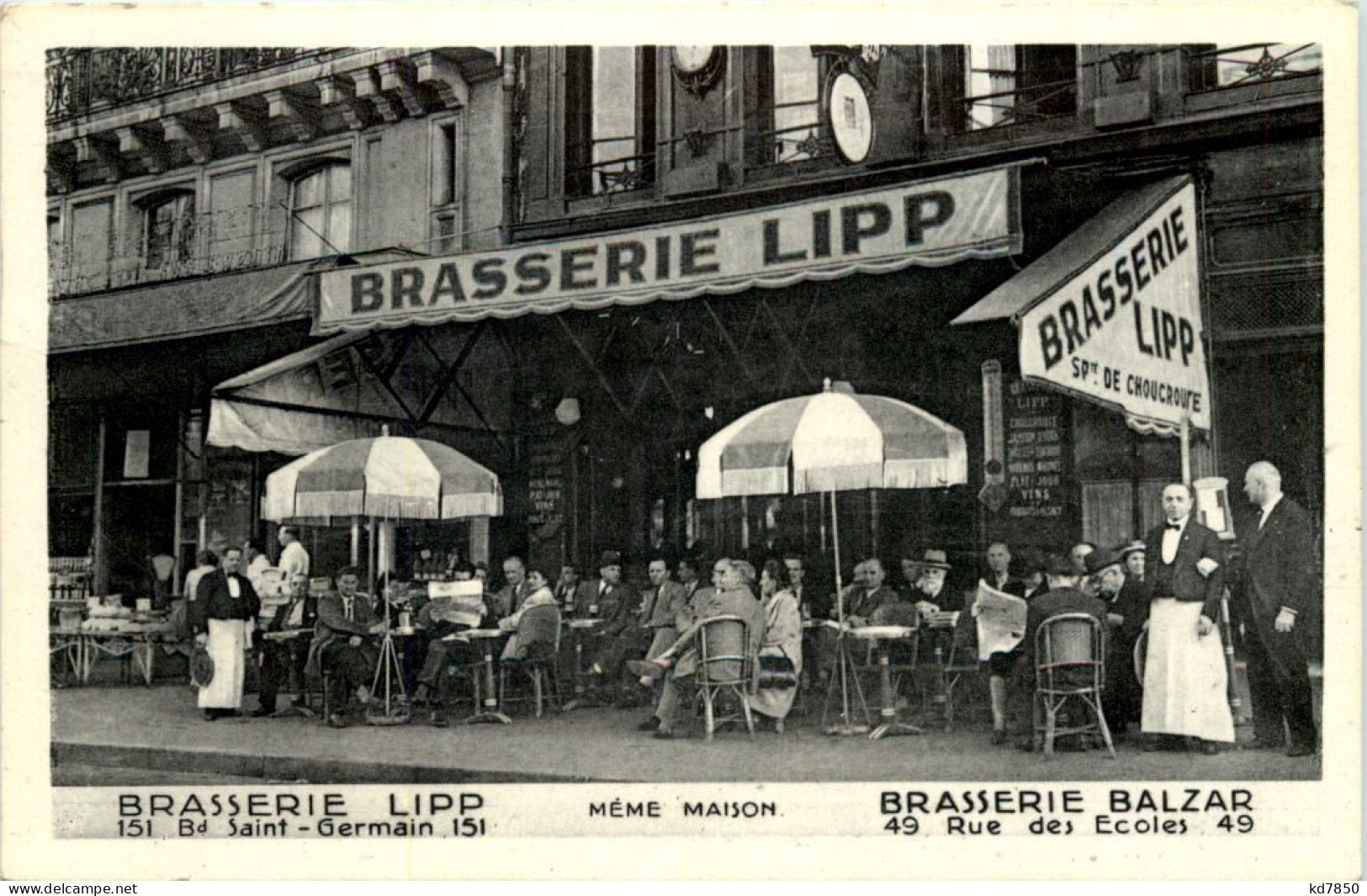 Paris - Brasserie Lipp - Cafés, Hotels, Restaurants