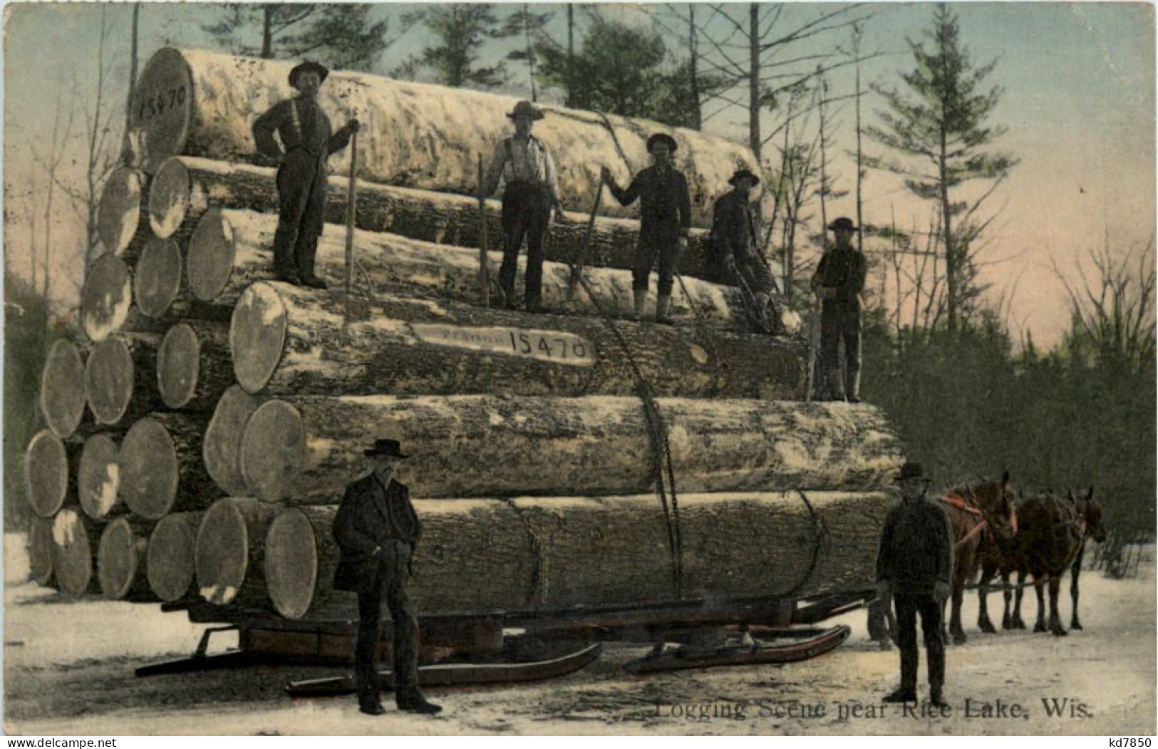 Logging Scene Near Rice Lake - Wisconsin - Sonstige & Ohne Zuordnung