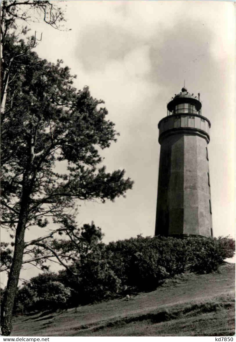 Dornbusch Auf Hiddensee, Am Leuchtturm - Hiddensee