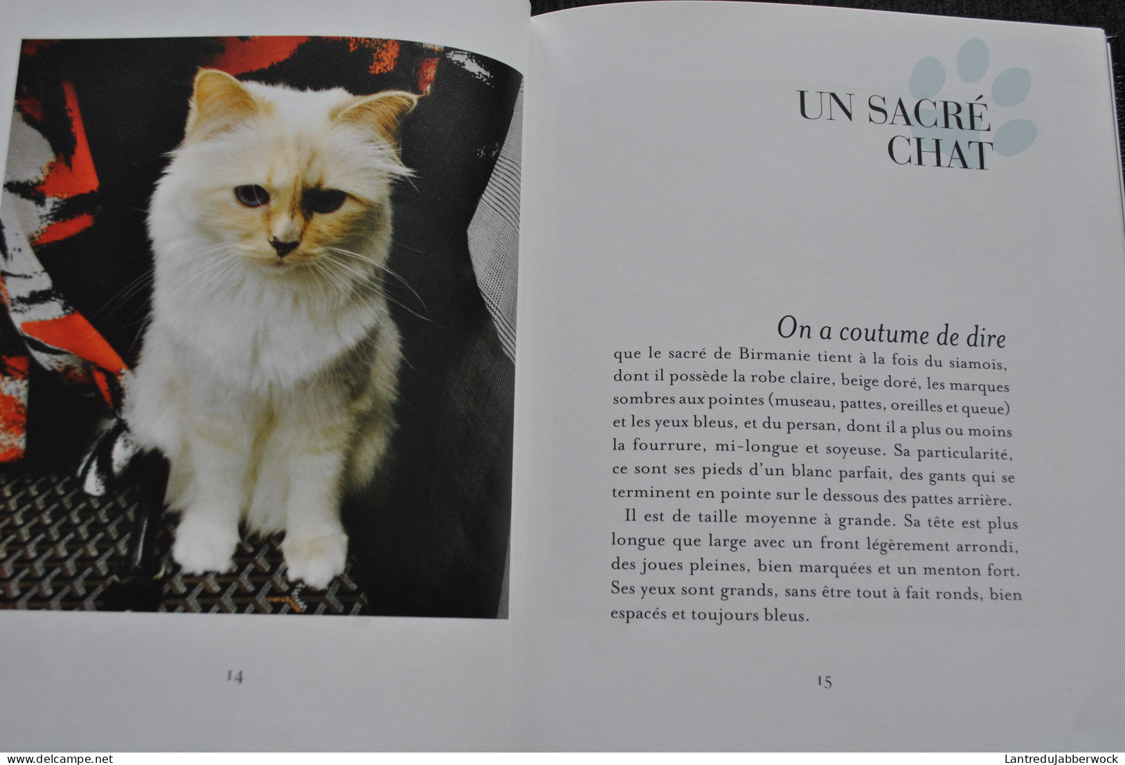 Choupette La Vie Enchantée D'un Chat Fashion Photos Karl Lagerfeld Flammarion 2014 Patrick Mauriès Napias Mode - Fashion