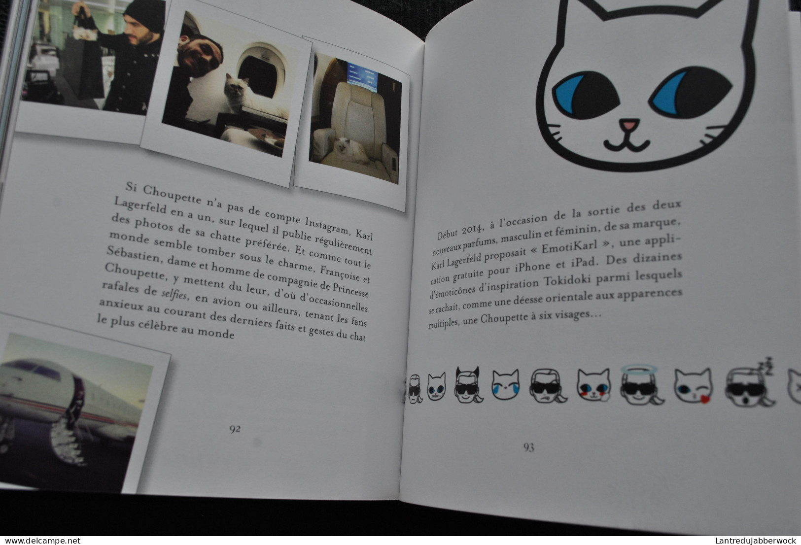 Choupette La Vie Enchantée D'un Chat Fashion Photos Karl Lagerfeld Flammarion 2014 Patrick Mauriès Napias Mode - Mode