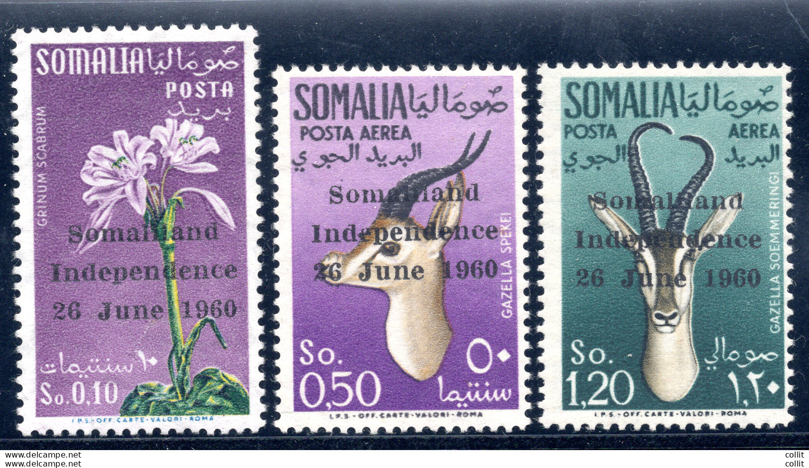 Somalia Indipendente - Soprastampati Somaliland Indipendence 26 June 1960 - Somalia