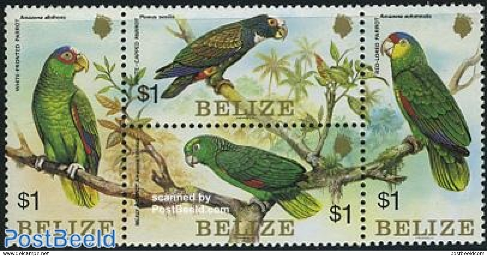 Belize/British Honduras 1984 Parrots 4v [:-:], Mint NH, Nature - Birds - Parrots - Honduras Británica (...-1970)