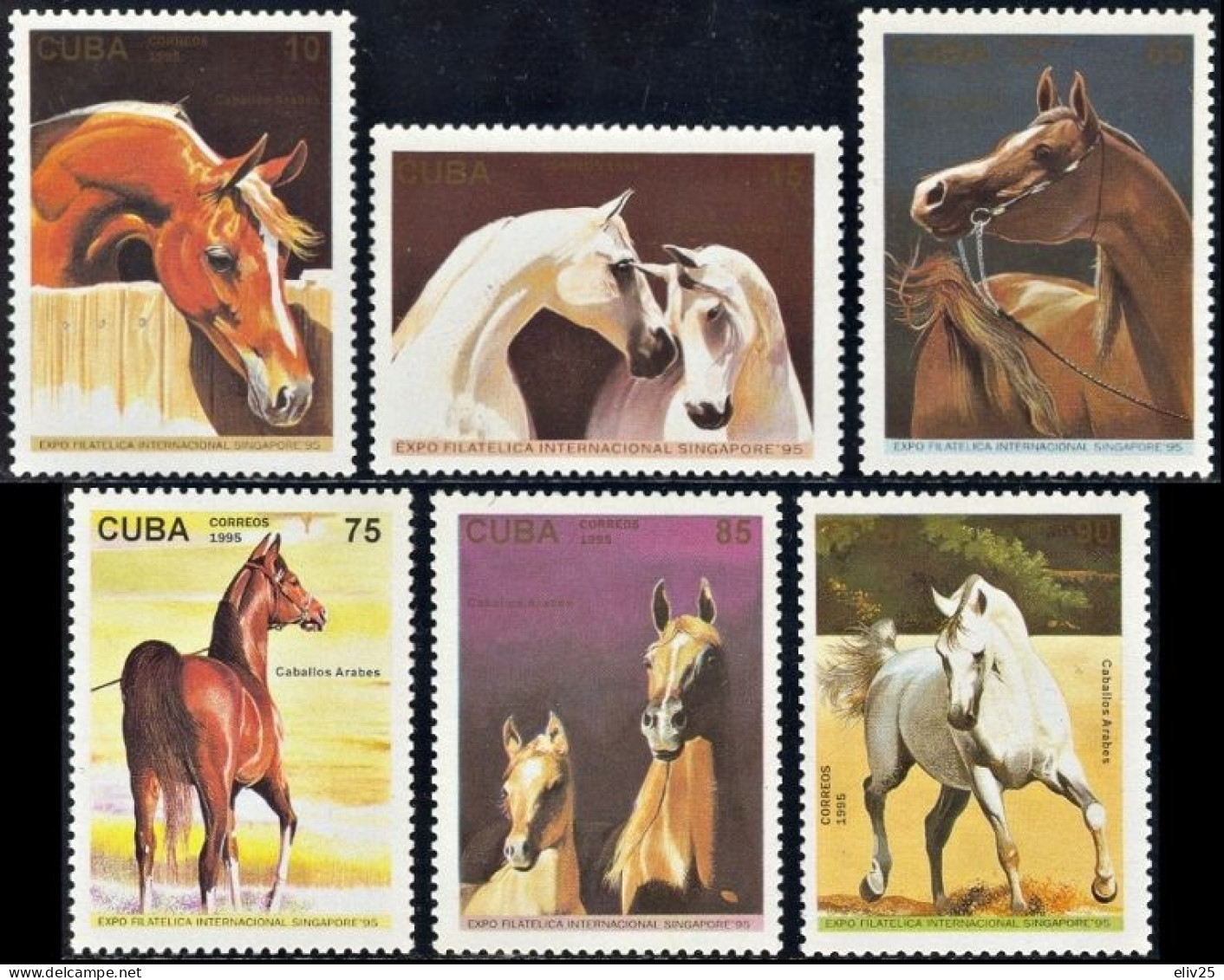 Cuba 1995, Arabian Thoroughbred Horses - 6 V. MNH - Caballos