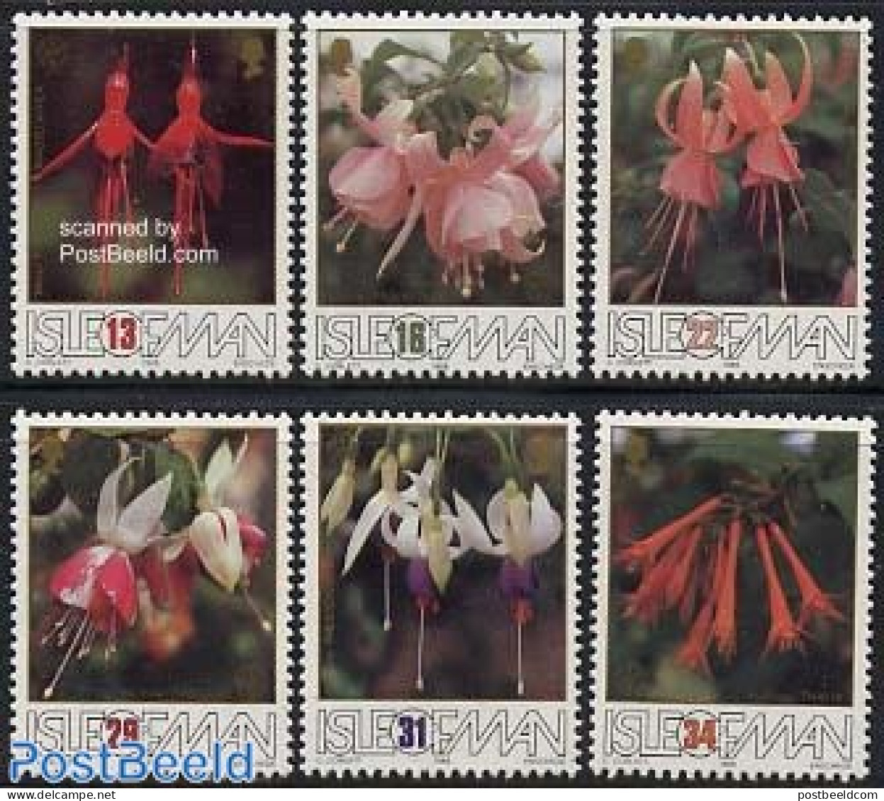 Isle Of Man 1988 Fuchsia Flowers 6v, Mint NH, Nature - Flowers & Plants - Isola Di Man
