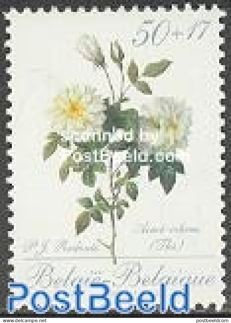 Belgium 1989 Roses 1v (from S/s), Mint NH, Nature - Flowers & Plants - Roses - Ongebruikt