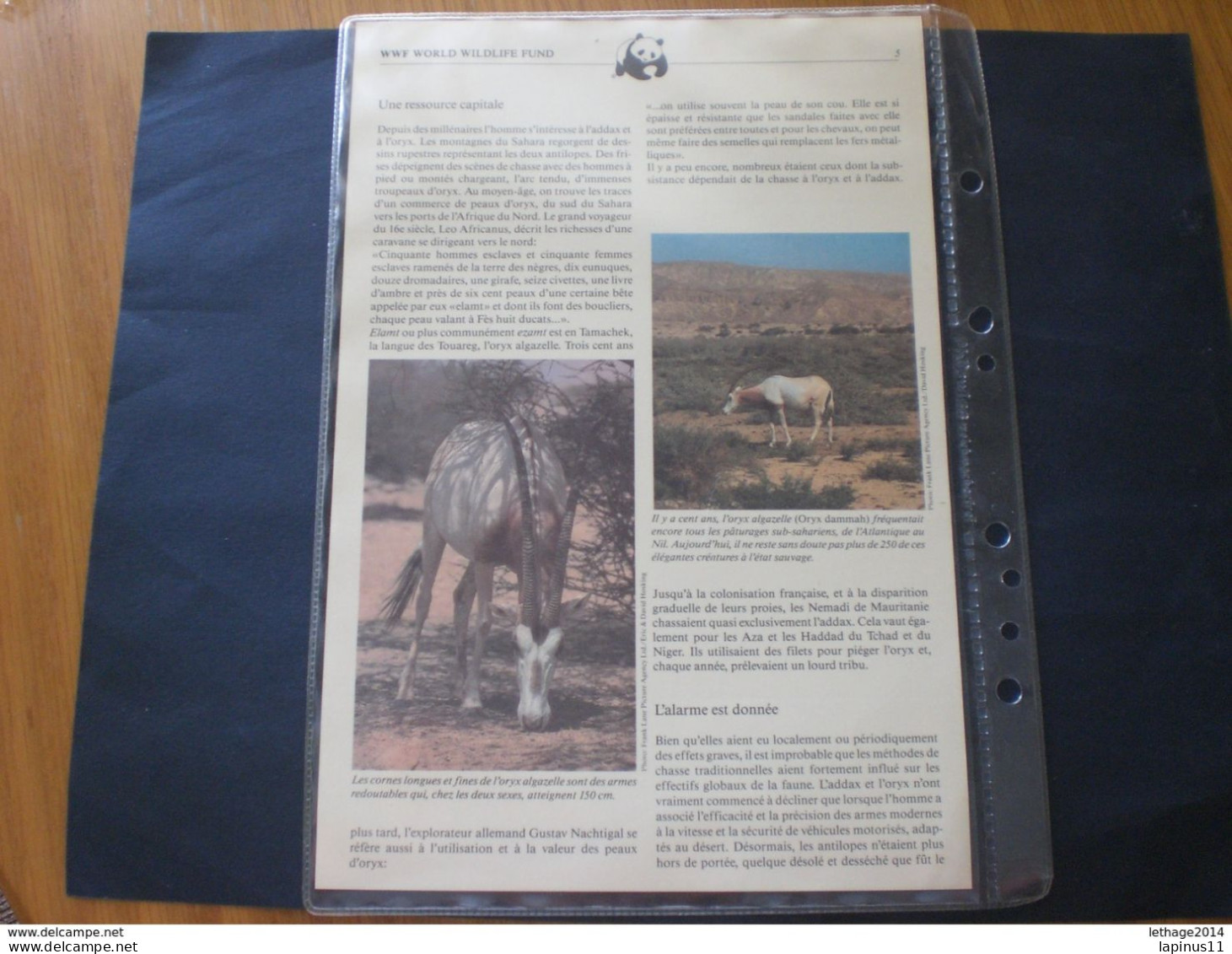 NIGER 1985 Nature Protection MNH + Folders Description - Niger (1960-...)