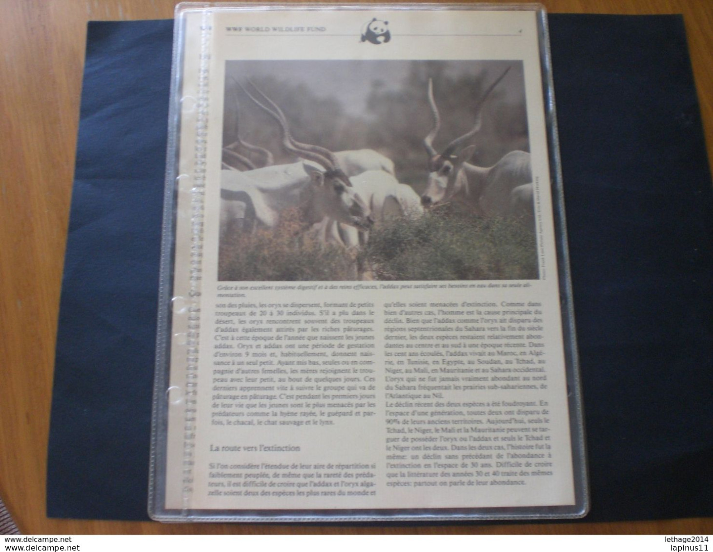 NIGER 1985 Nature Protection MNH + Folders Description - Niger (1960-...)
