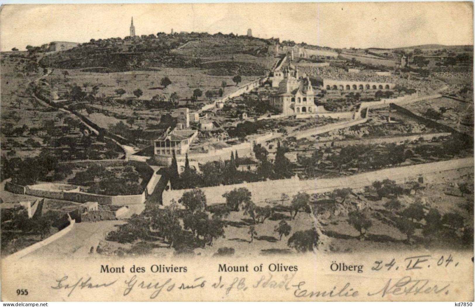 Ölberg - Mont Des Oliviers - Jerusalem - Palästina