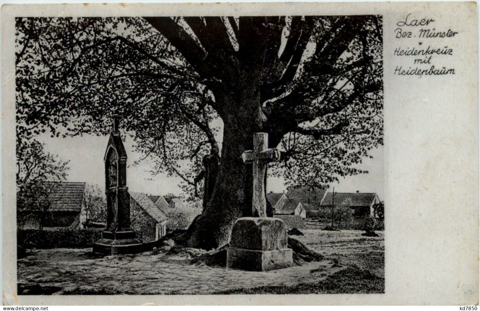 Laer - Bez. Münster - Heidenkreuz Mit Heidenbaum - Steinfurt