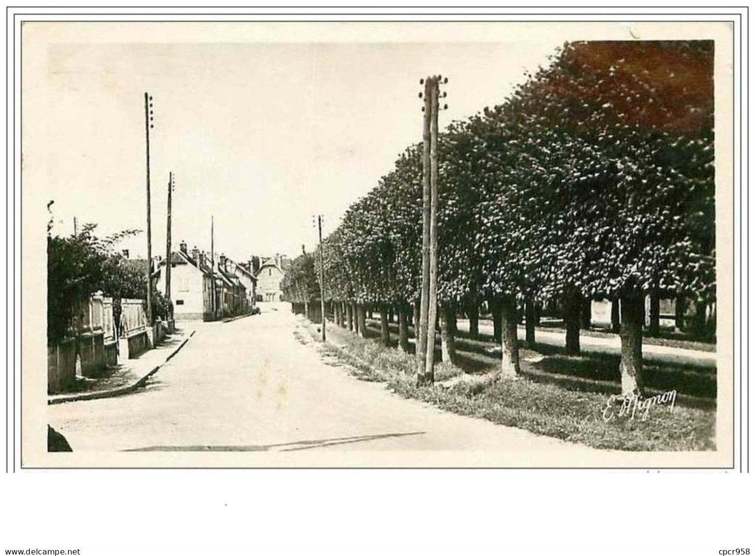 77.BRAY SUR SEINE.LES PROMENADES.CPSM - Bray Sur Seine