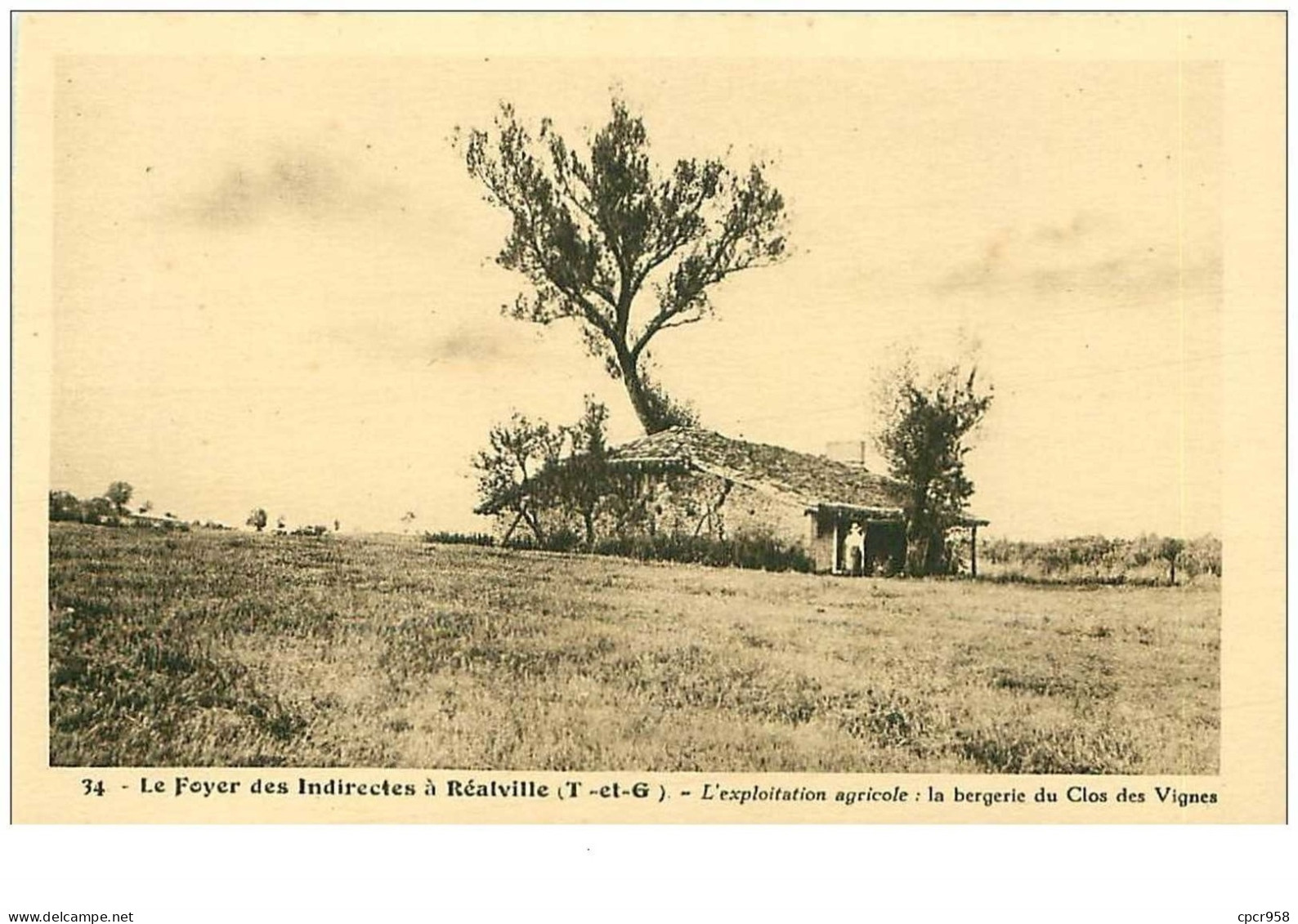 82.REALVILLE.n°9942.LE FOYER DES INDIRECTES.L'EXPLOITATION AGRICOLE.LA BERGERIE DU CLOS DES VIGNES - Realville