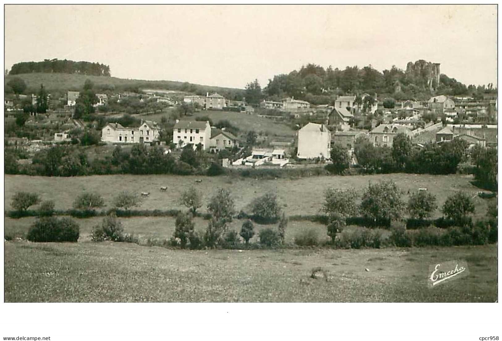 85.POUZAUGES.n°32277.LE BOIS DE LA FOLIE ET LE CHATEAU.CPSM - Pouzauges