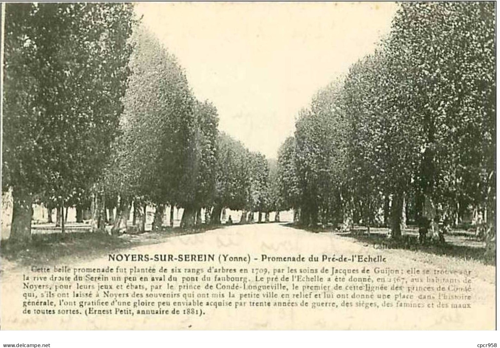 89.NOYERS SUR SEREIN.PROMENADE DU PRE DE L'ECHELLE - Noyers Sur Serein