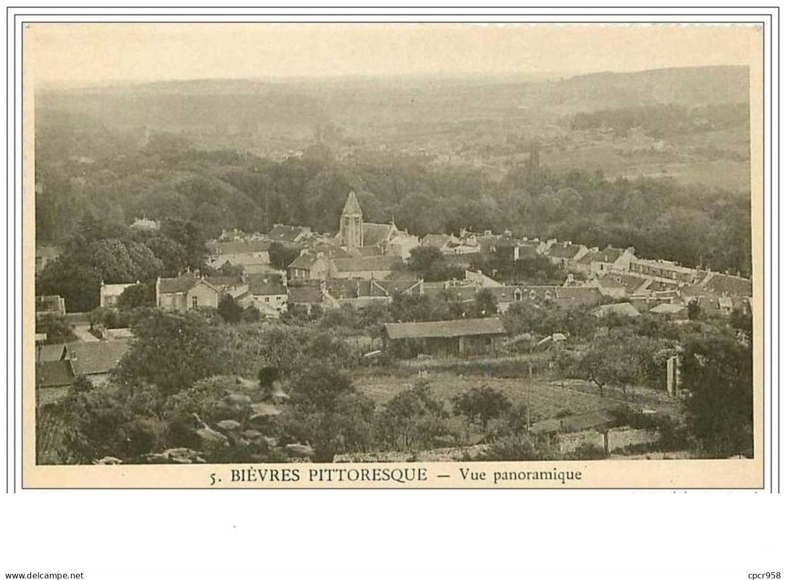 91.BIEVRES.VUE PANORAMIQUE - Bievres