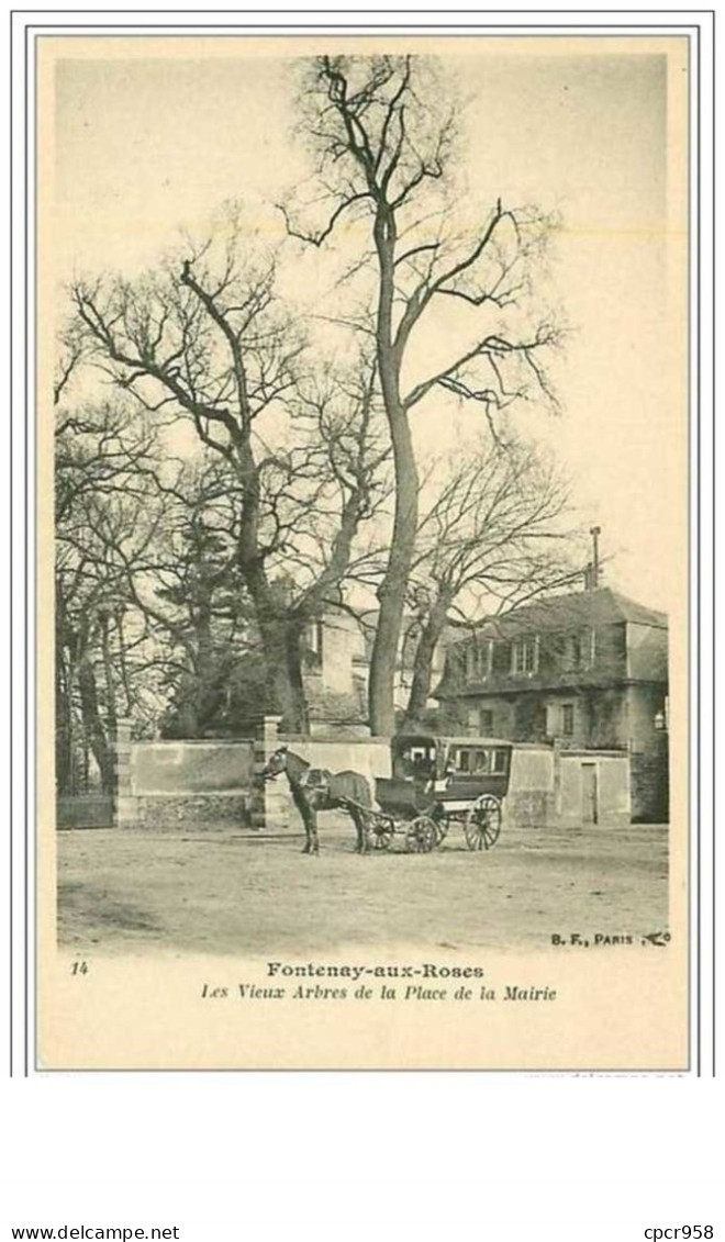 92.FONTENAY AUX ROSES.LES VIEUX ARBRES DE LA PLACE DE LA MAIRIE - Fontenay Aux Roses