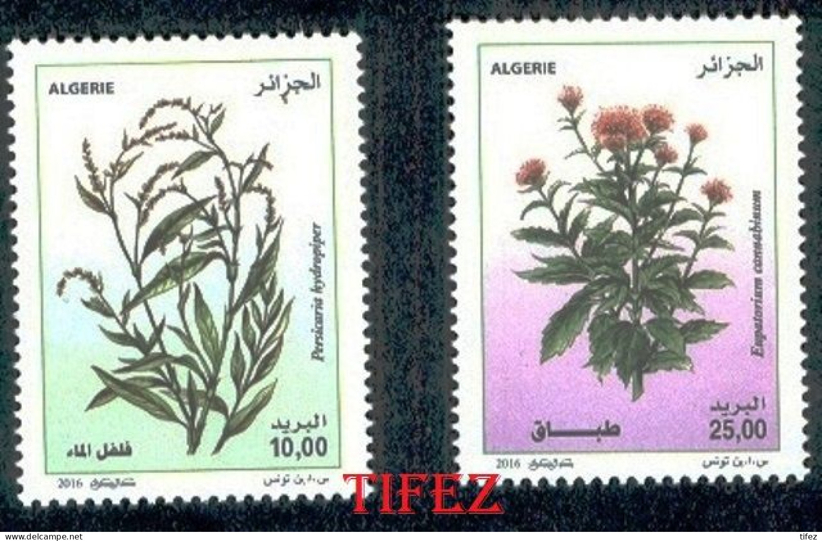 Année 2016-N°1735/1736 Neufs**MNH : Plantes Médicinales - Algeria (1962-...)