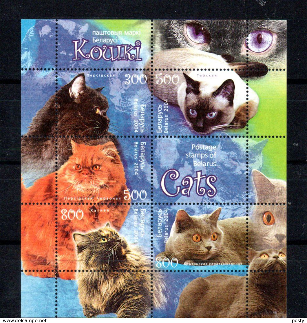 BELARUS - 2004 - B/F - M/S - CHATS - CATS - KATZEN - - Belarus