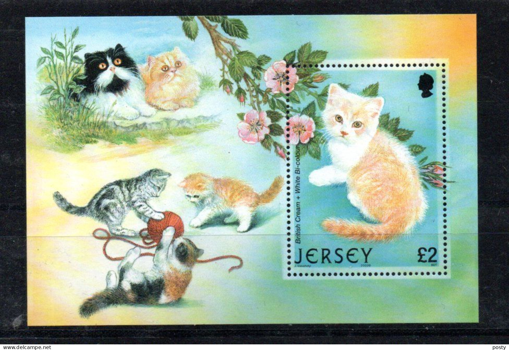 JERSEY - 2002 - M/S - B/F - CHATS - CATS - KATZEN - BRITISH CREAM - - Jersey