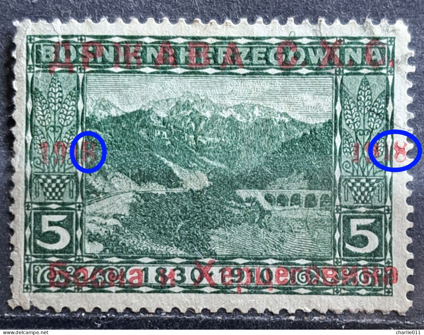 NERETVA VALLEY-5 H-OVERPRINT DRŽAVA SHS-ERROR-8-RARE-BOSNIA AND HERZEGOVINA -YUGOSLAVIA- CROATIA --1918 - Croazia