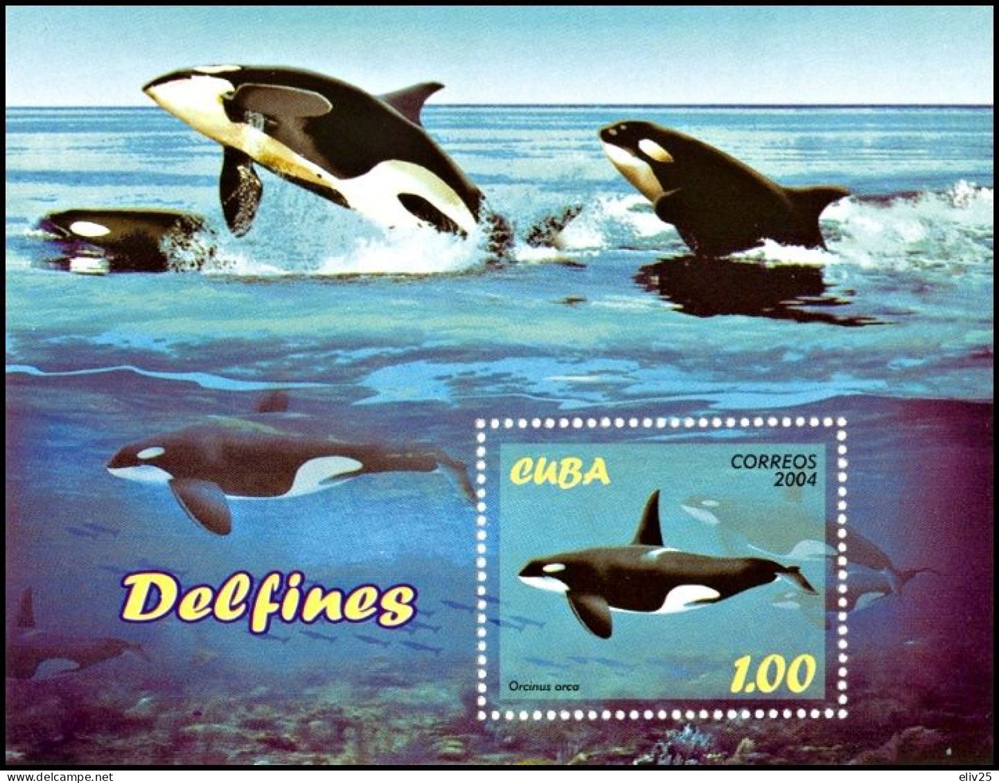 Cuba 2004, Dolphins - S/s MNH - Dauphins