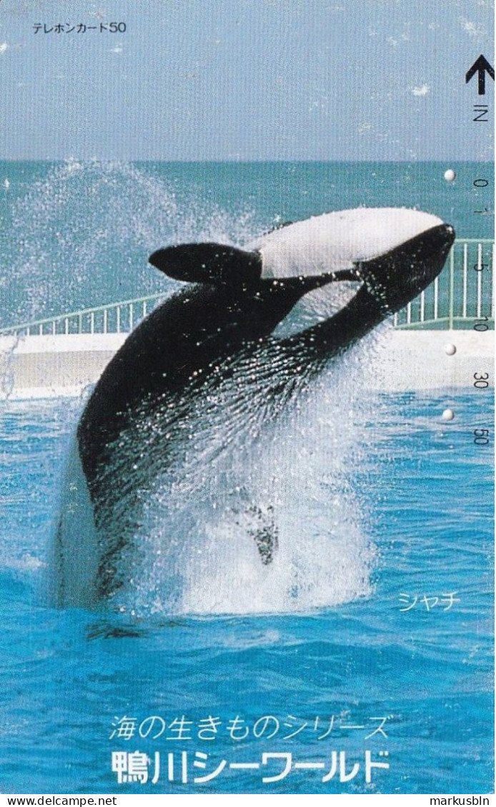 Japan Tamura 50u Old Private 110 - 94441 Orca Whale Animal Water Kamogawa Sea World - Japan