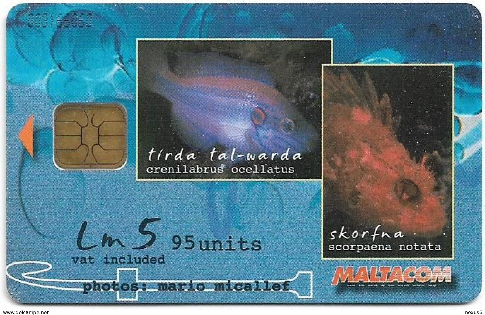 Malta - Maltacom - Fish, Tracna - 05.2002, 95U, 10.000ex, Used - Malta