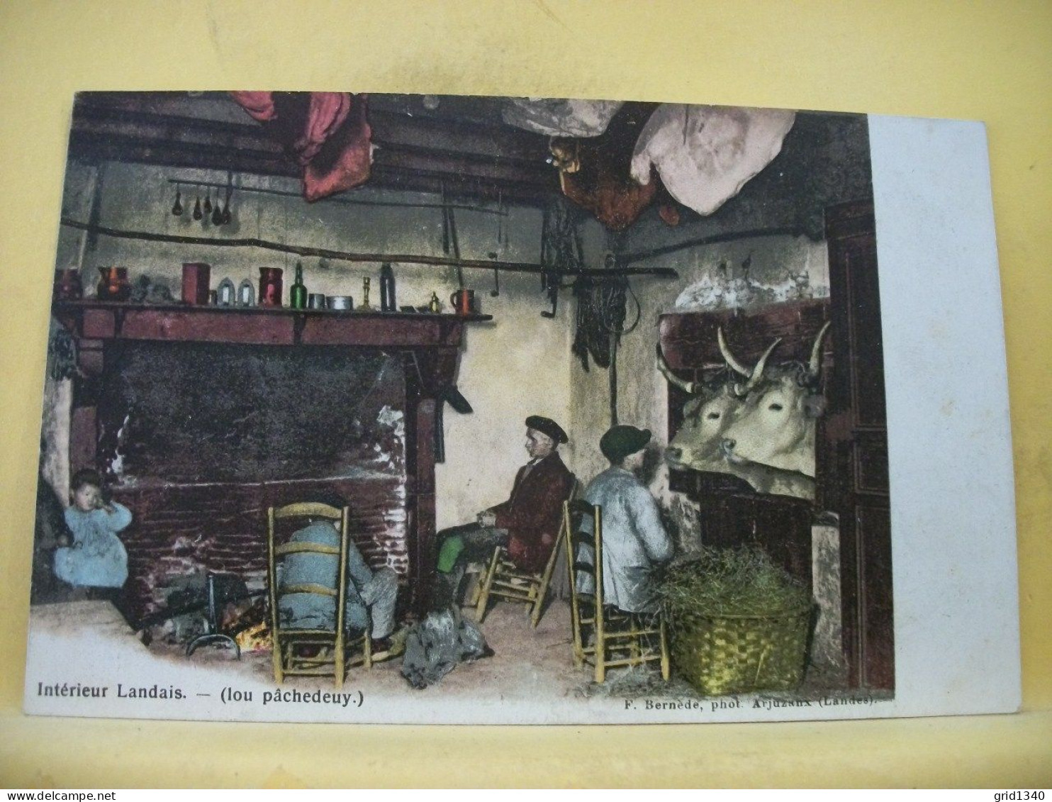 40 4238 CPA PRECURSEUR - AUTRE VUE COLORISEE N° 3 - 40 INTERIEUR DANS LES LANDES (LOU PACHEDENY) - ANIMATION - Fermes