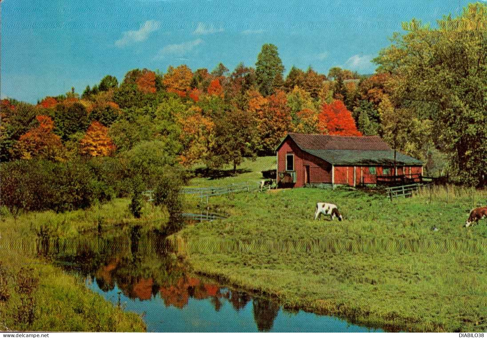 NEW ENGLAND FARM LANDS IN EARLY AUTUMN - Other & Unclassified